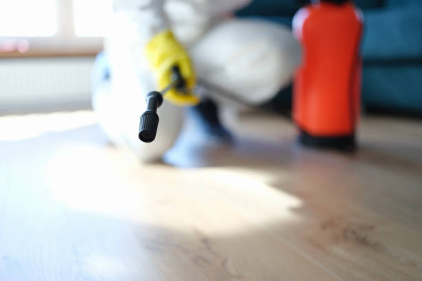 Best Environmental Consulting for Mold Prevention  in Staples, MN